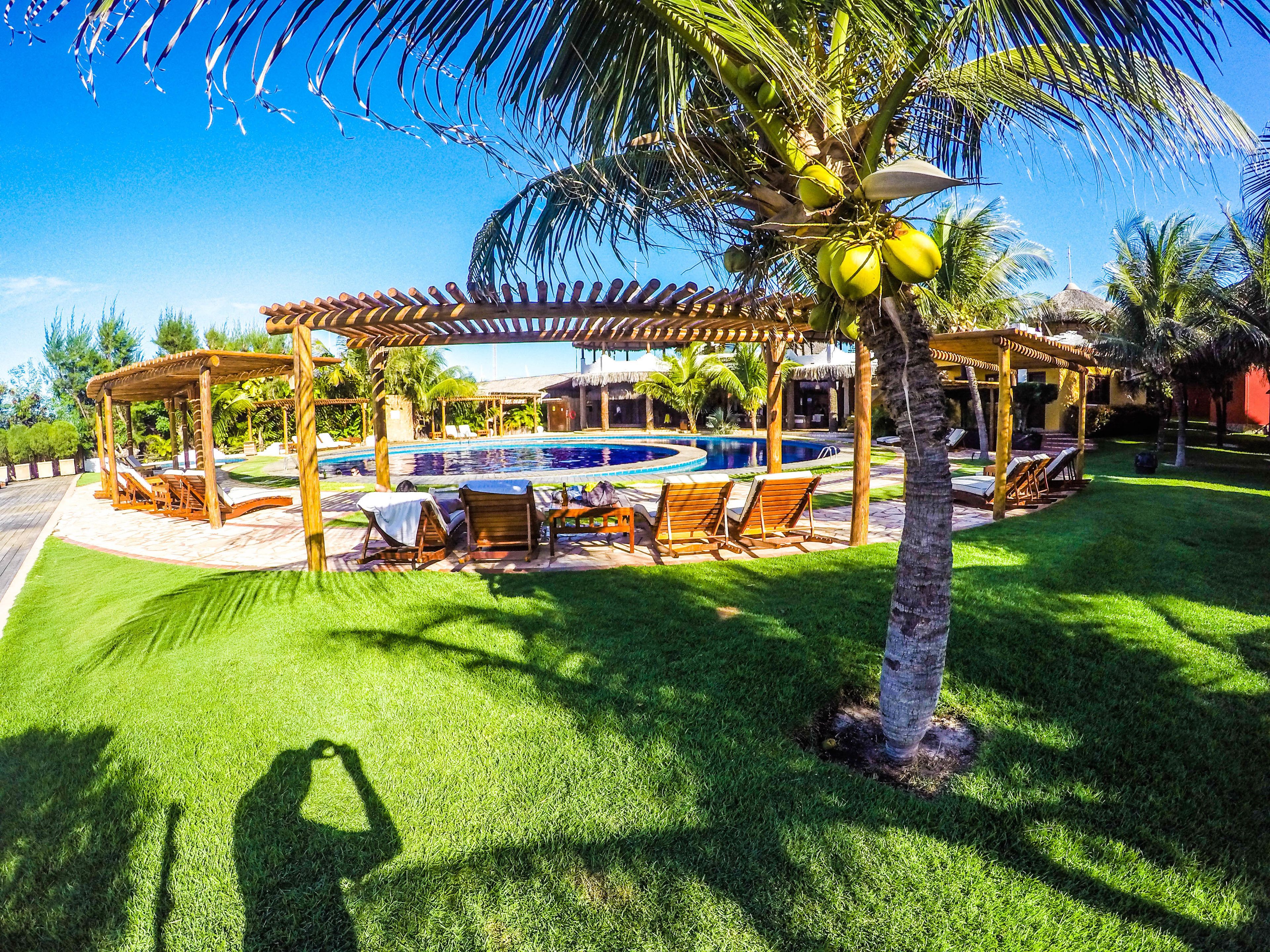 Zona de piscina con pérgolas de madera, sillas de descanso y una palmera.