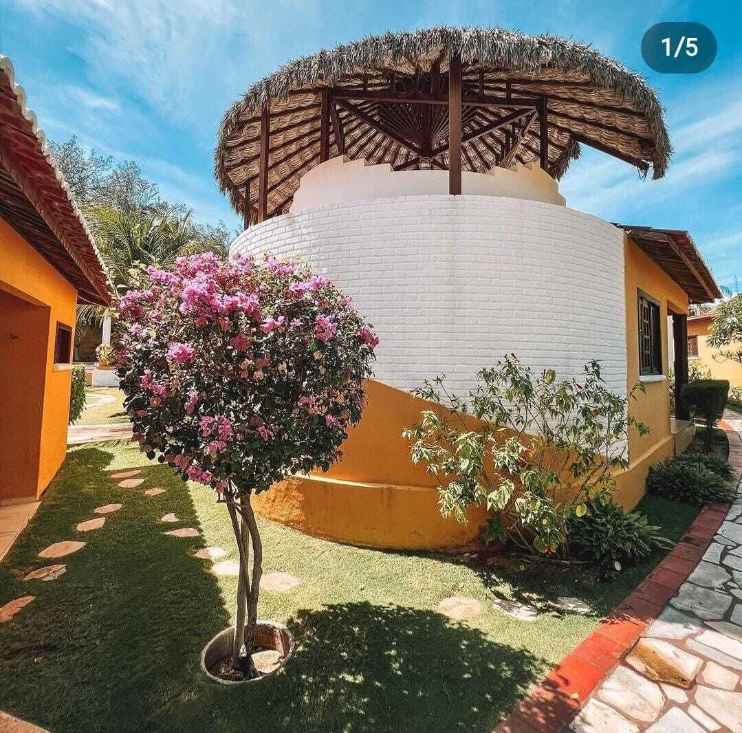 bungalow, terrace, garden view | view from room