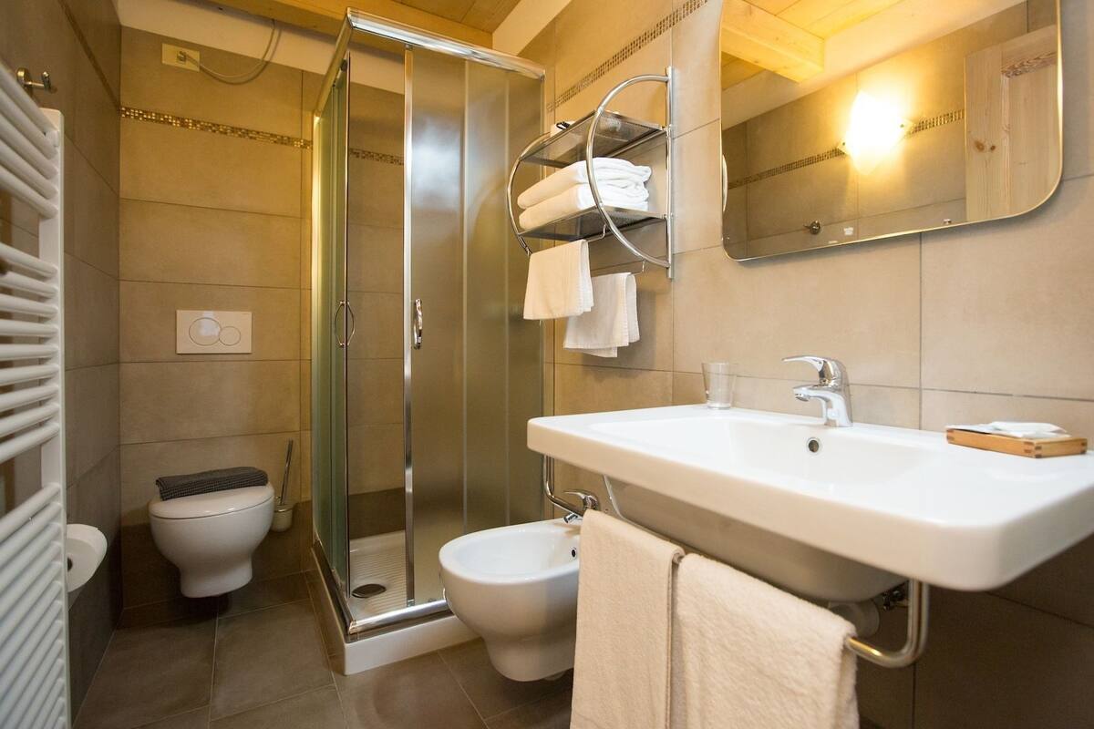 shower, free toiletries, hair dryer, bidet