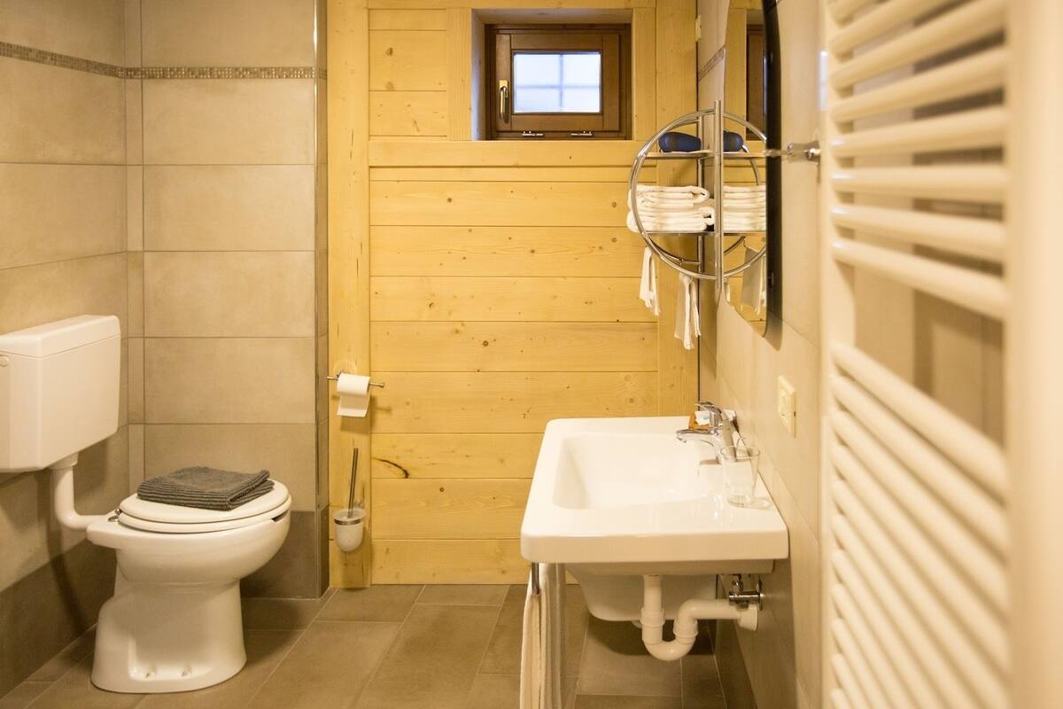 shower, free toiletries, hair dryer, bidet