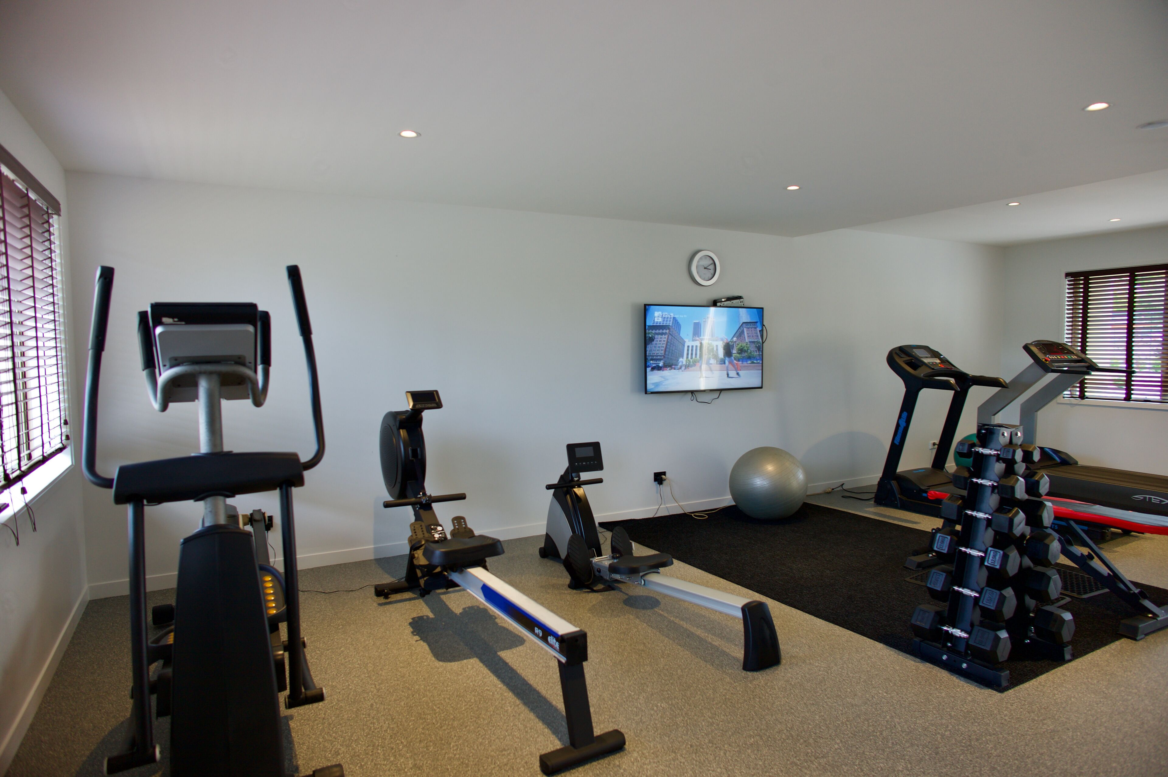 A home gym with various exercise equipment, a television, and a large exercise ball.