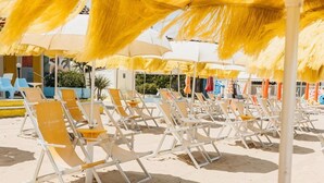 A beach with rows of sun loungers under yellow umbrellas. - Felicioni (Pineto)