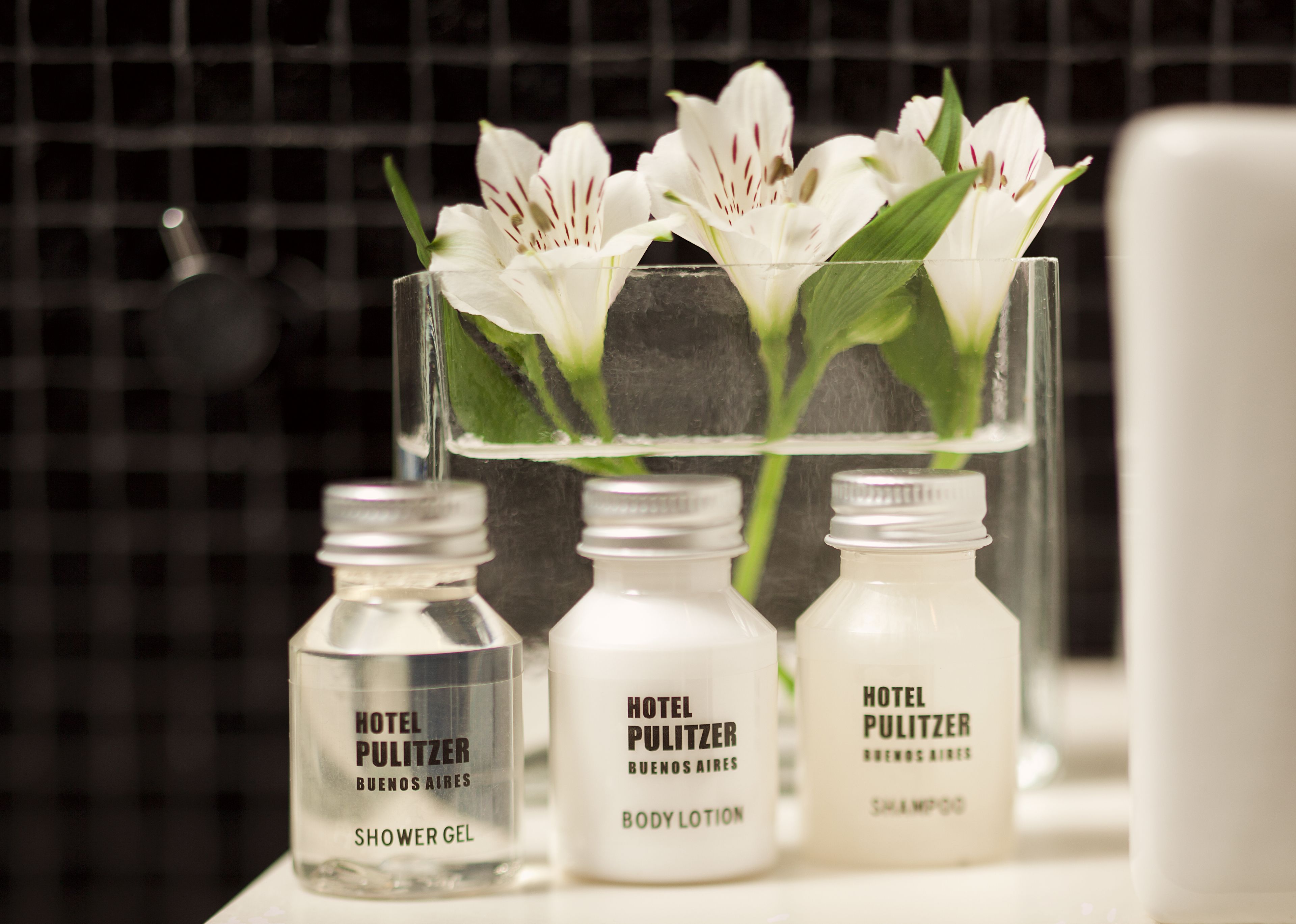 rainfall showerhead, free toiletries, hair dryer, bidet