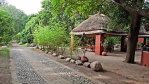Un sendero bordeado de rocas y plantas en macetas que conduce a una construcción tradicional con techo de paja.