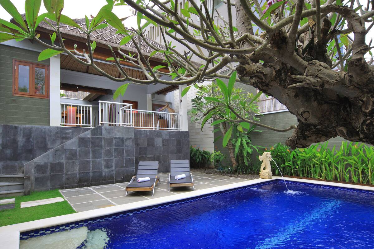 Piscina com espreguiçadeiras, parede de pedra e uma árvore.