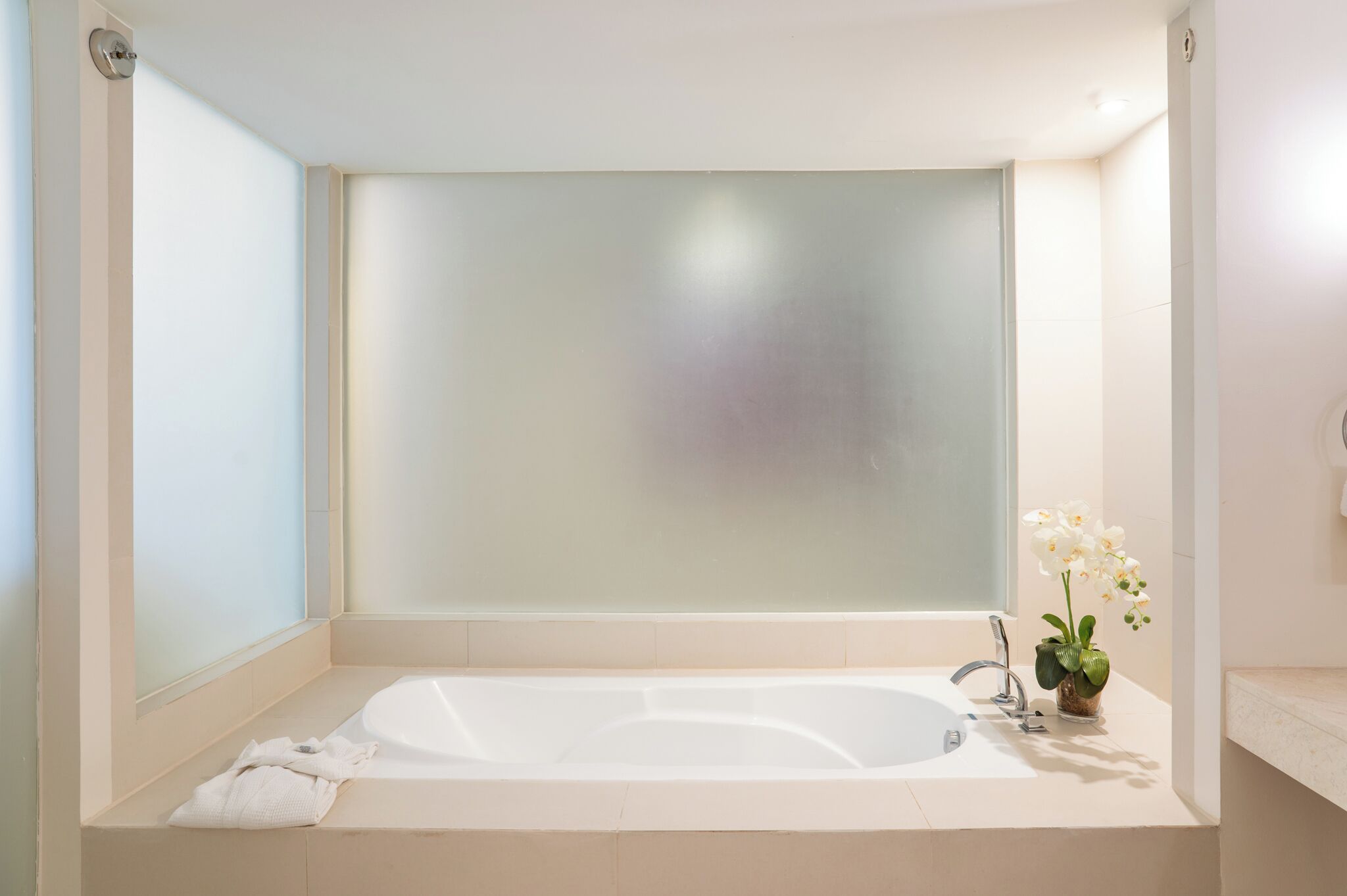 A modern bathroom with a large bathtub, frosted glass shower enclosure, and a small orchid plant on the vanity.