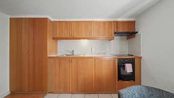 Cocina compacta con armarios de madera, un lavamanos, estufa y horno.