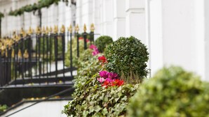 A building facade with a white exterior, black iron fence, and greenery including flowers and shrubs.