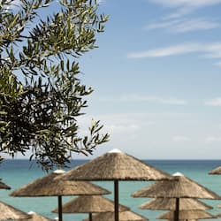 Plage, chaises longues, parasols, serviettes de plage