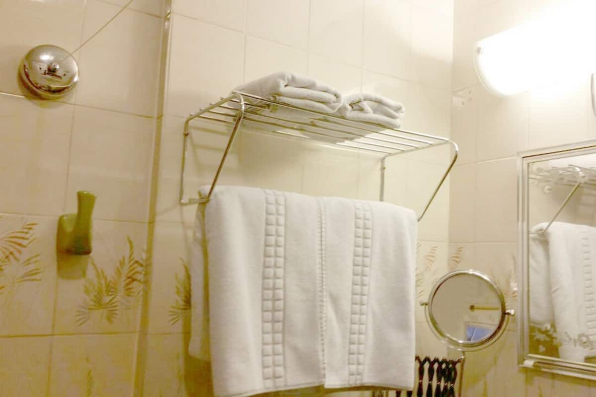 Shower, free toiletries, hair dryer, towels