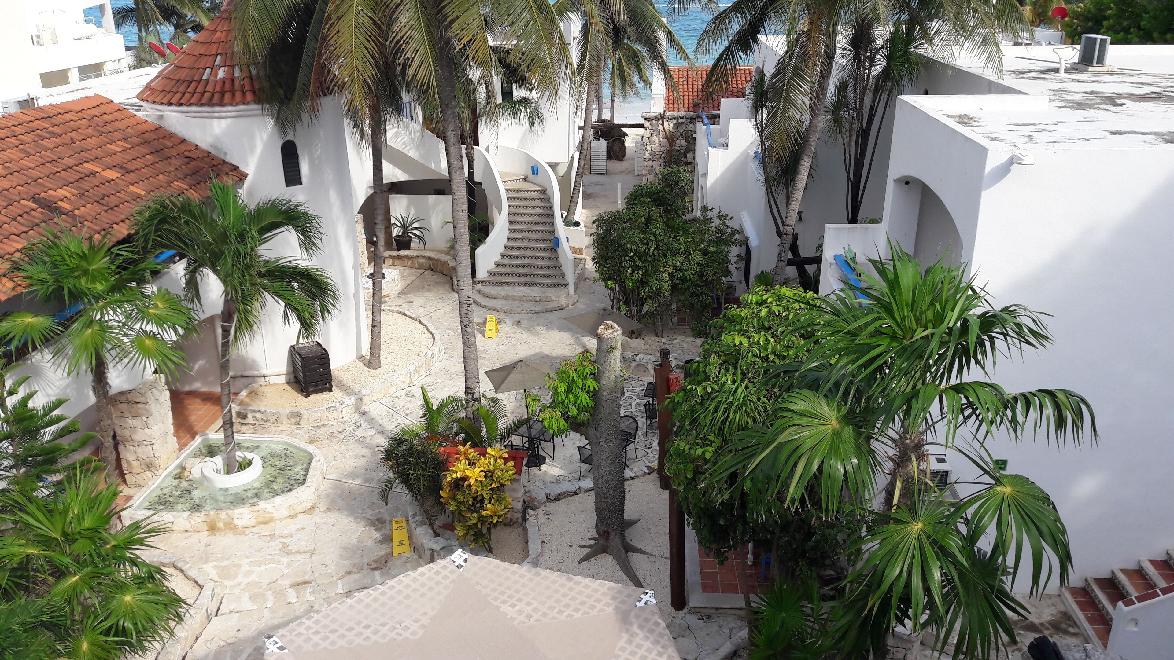 A rooftop terrace with palm trees, a small fountain, and a staircase leading to an upper level.