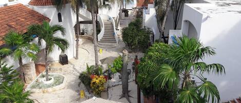 A rooftop terrace with palm trees, a small fountain, and a staircase leading to an upper level.