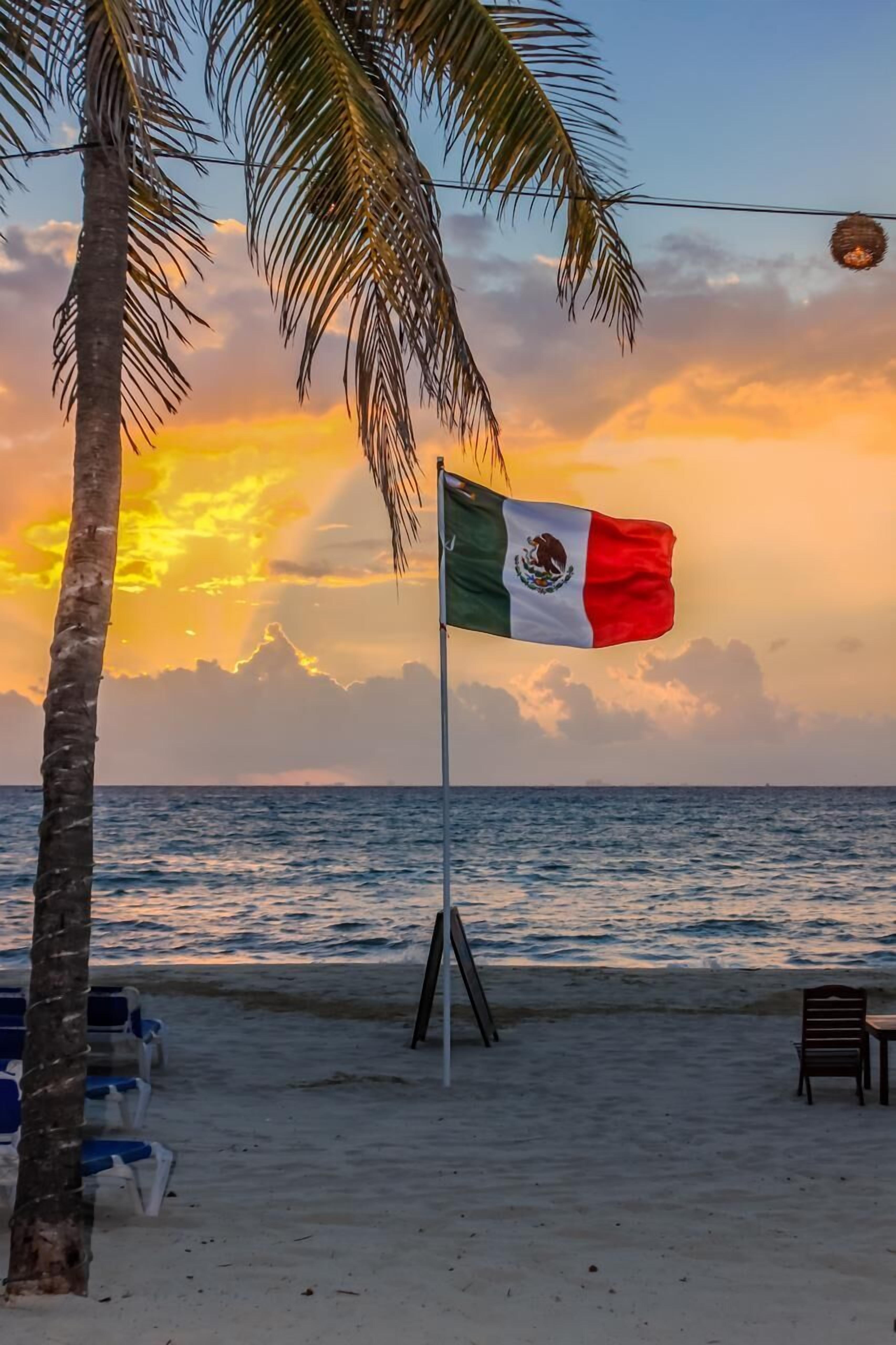 A beach scene with a flag, palm trees, and a sunset.