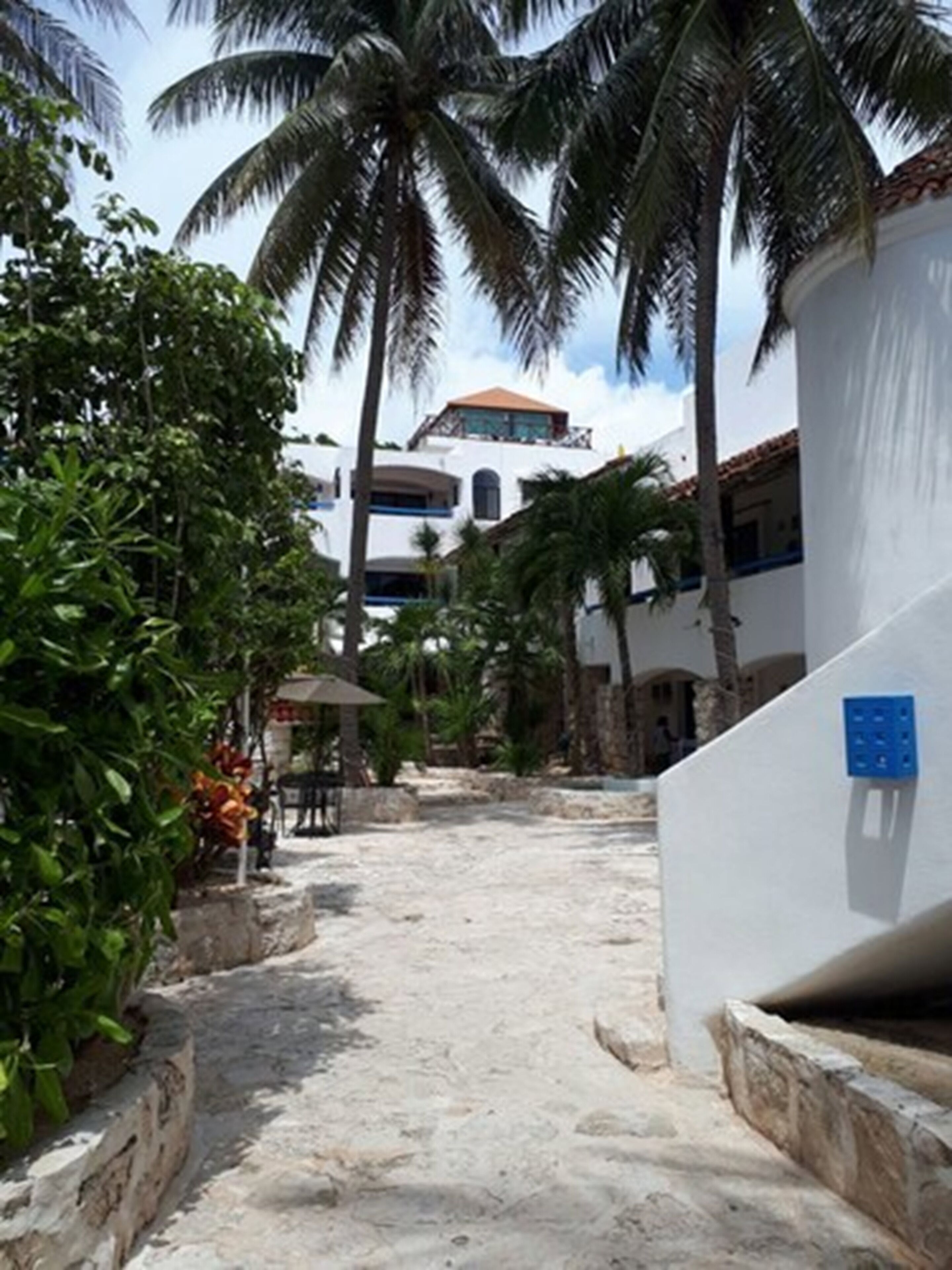 Foto - Pelicano Inn Playa del Carmen - Beachfront Hotel