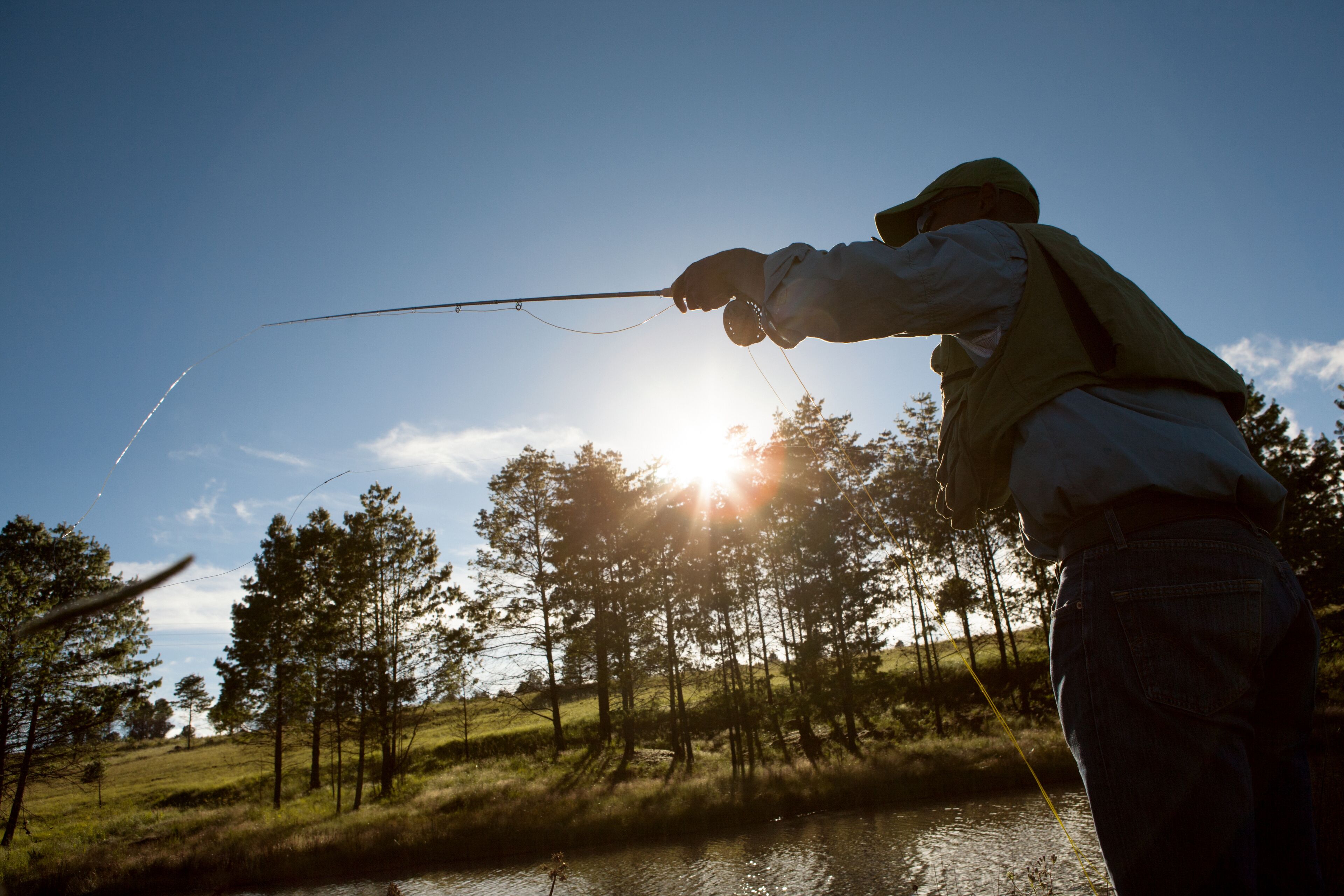A person fishing by a body of water with trees and a clear sky in the background.