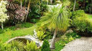 A garden with a paved walkway, various plants, and a small water feature. - See More Guest House (East London)