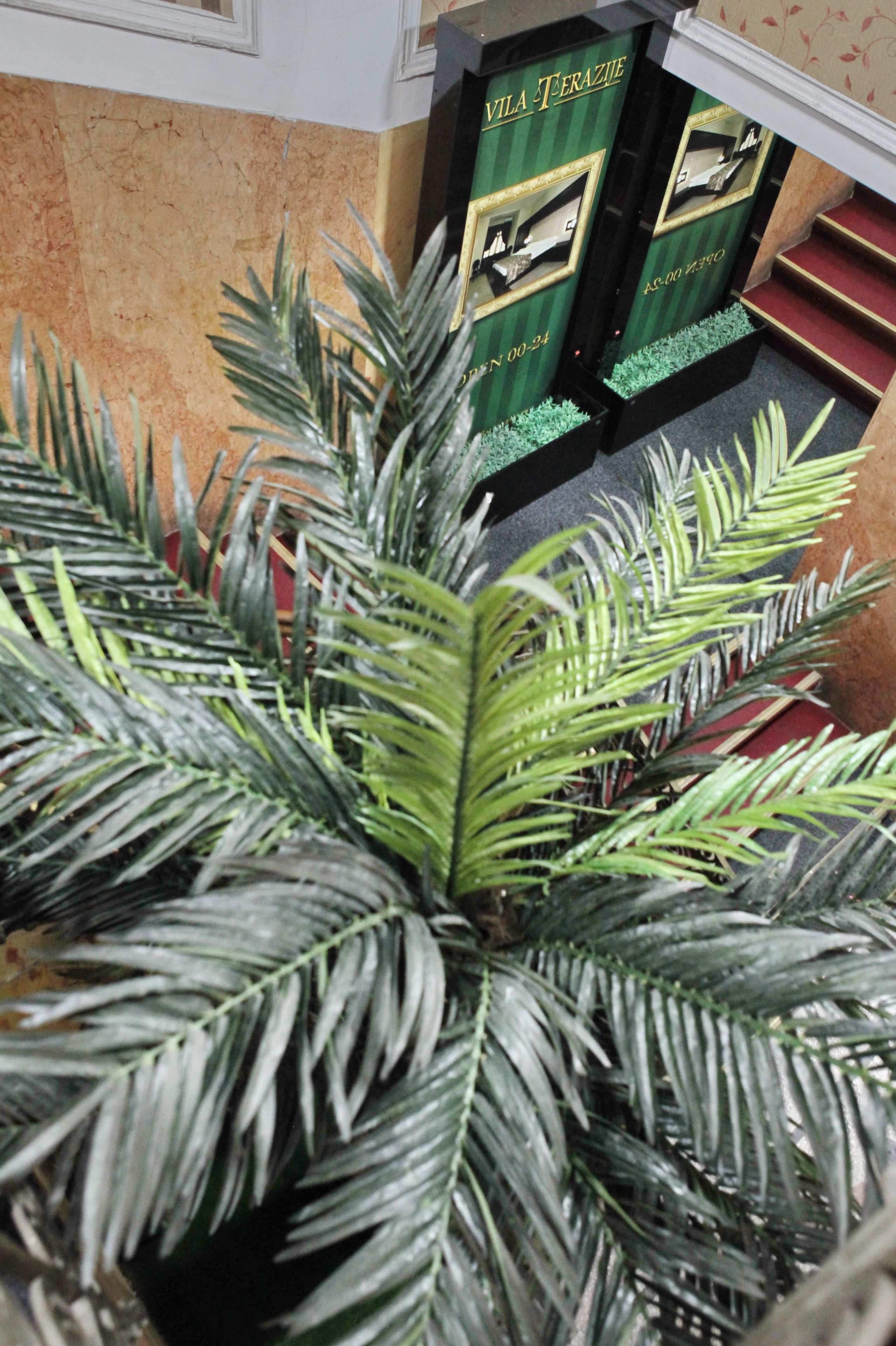 Foto - Vila Terazije