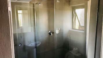 A glass-enclosed shower with a toilet and a sink.