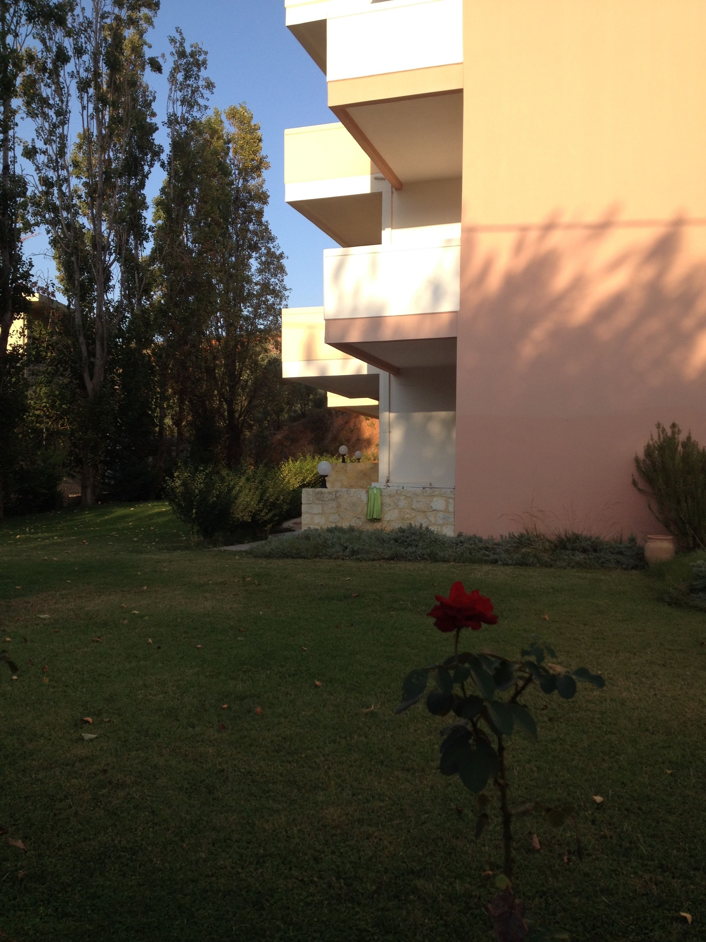 Un edificio moderno con techo plano y un jardín con una rosa roja.