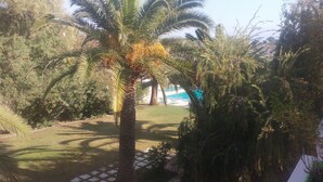 A garden with palm trees and a pool area. - Hotel Kyriaki (Chania)