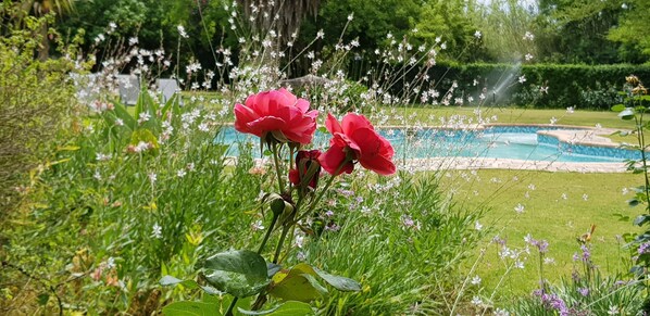 Alberca al aire libre