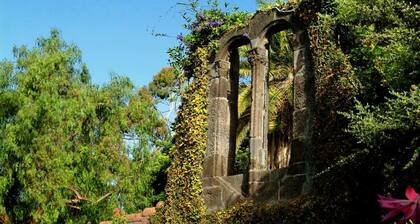 Madeira Bright Star Hotel
