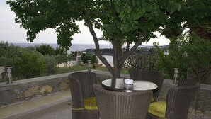 Terras