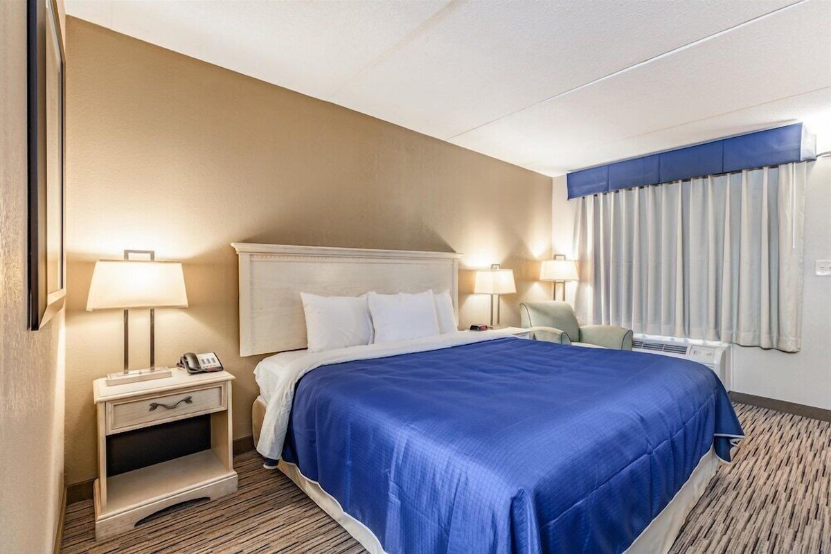 Premium bedding, laptop workspace, iron/ironing board, WiFi