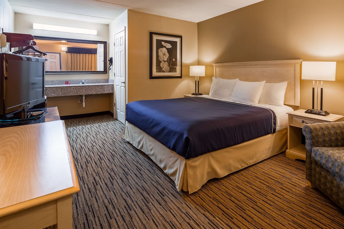 Habitación de hotel con cama, lámparas de noche, escritorio, silla, televisor y un cuadro en la pared.