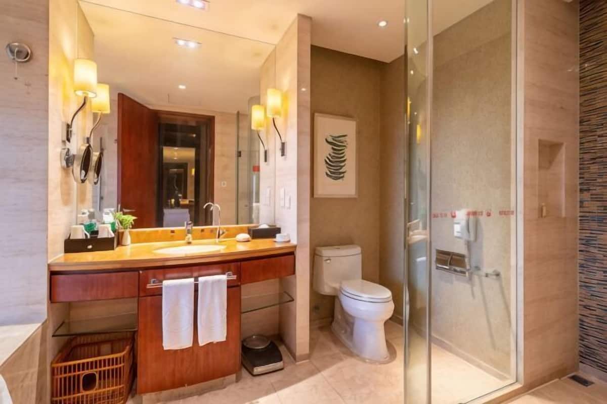Een moderne badkamer met een douchecabine van glas, een houten wastafelmeubel met een wastafel en een toilet.
