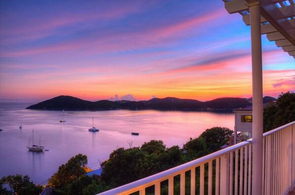 Suite, 1 Bedroom | View from room