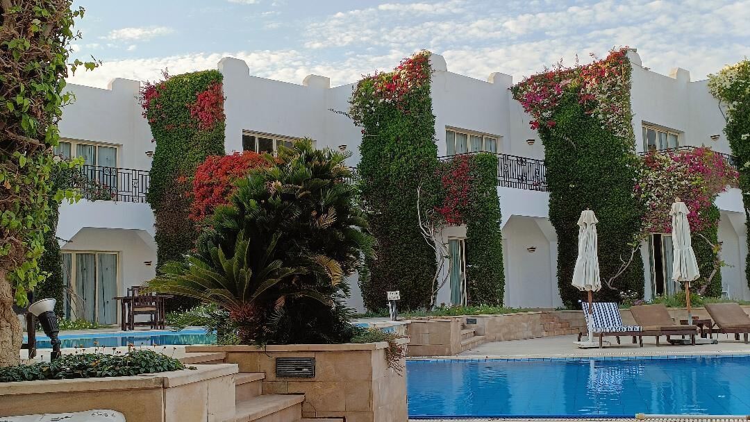 A poolside area with a swimming pool, lounge chairs, and a building with balconies covered in greenery.