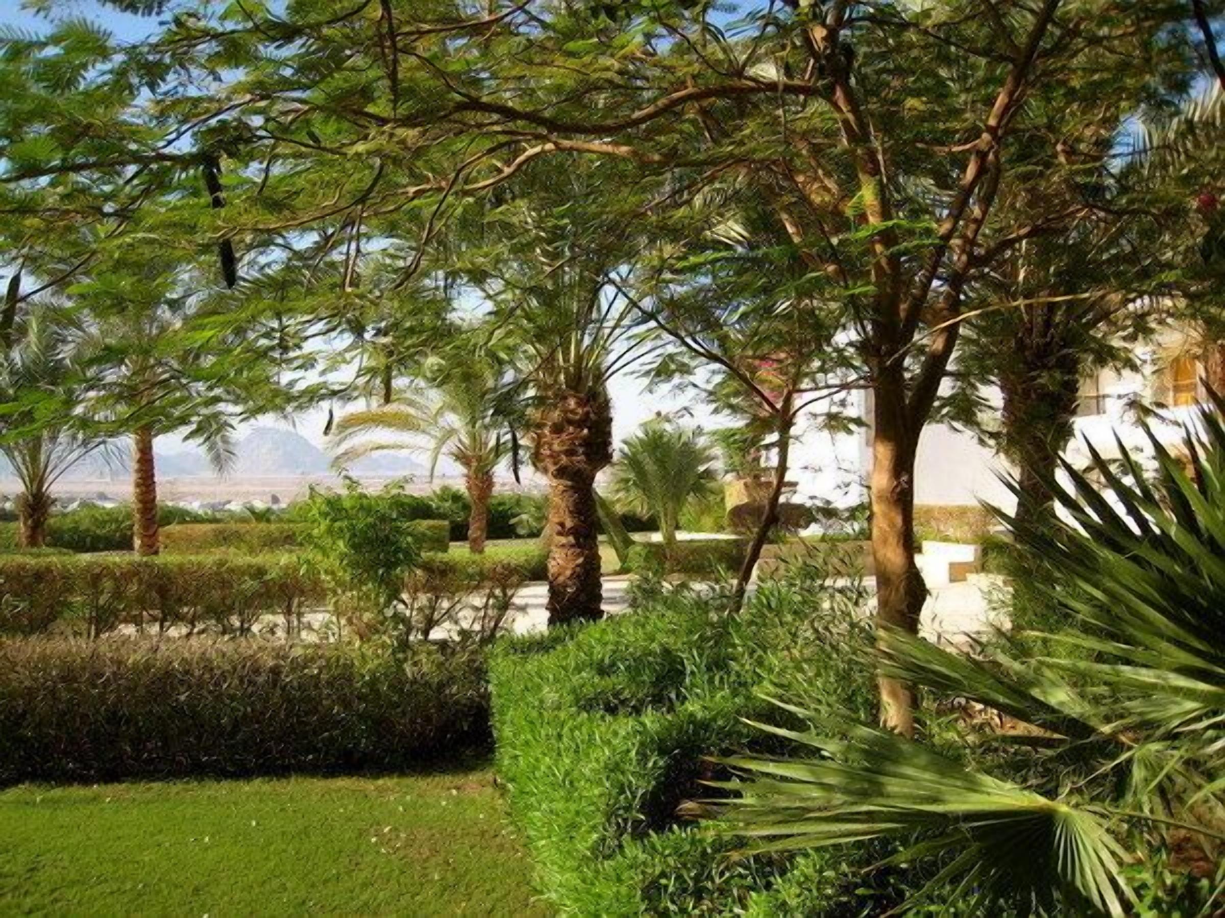 Photo - Eden Rock Hotel Namaa Bay