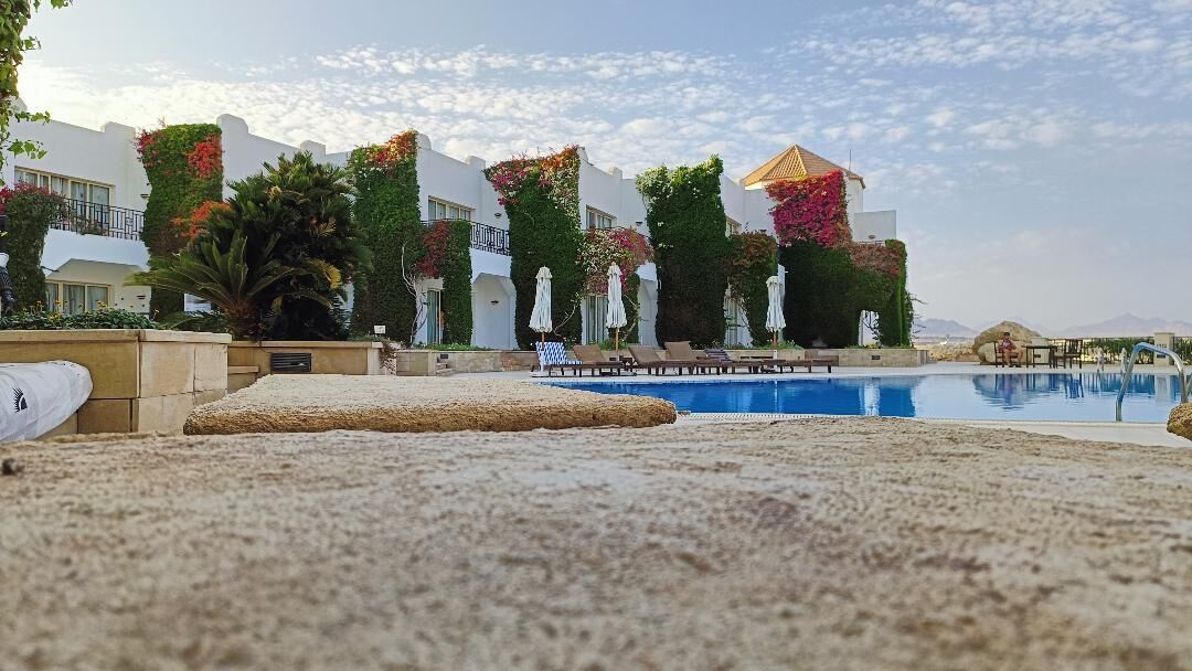 A pool area with lounge chairs and umbrellas, surrounded by buildings with balconies and vegetation.