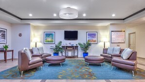 Een moderne lobby met een blauw patroon tapijt, leren banken, een flatscreen televisie en potplanten.