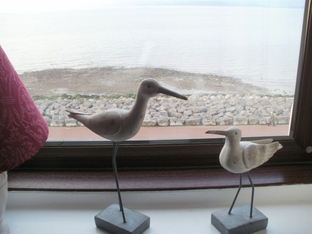 Vista desde la propiedad