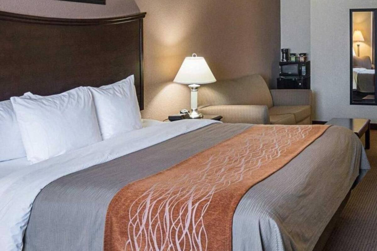 A hotel room with a large bed, a bedside table with a lamp, a sofa, and a small table with a coffee maker.