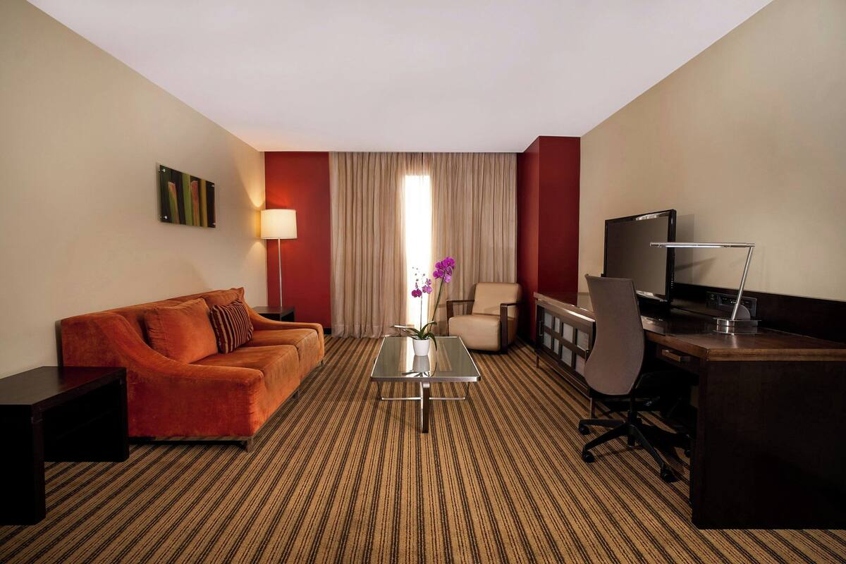 A hotel room with a sofa, a small table with a vase, a desk with a chair, a television, and a window with curtains.