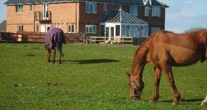 Springwood B&B