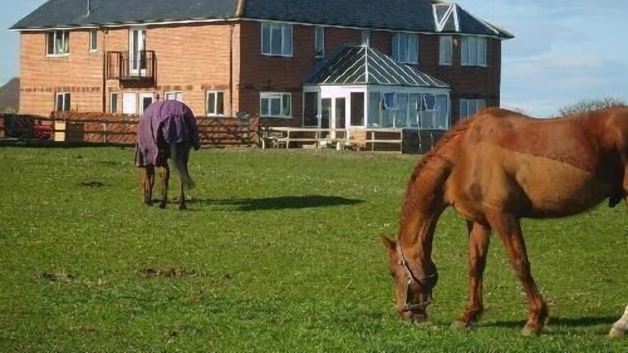 Springwood B&B