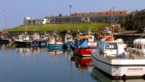A marina with several boats docked, a building with a sloped roof in the background, and a grassy hill.