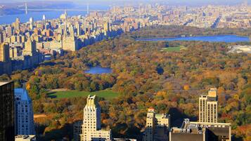 A cityscape with a mix of high-rise buildings and a large park area with trees and a lake.