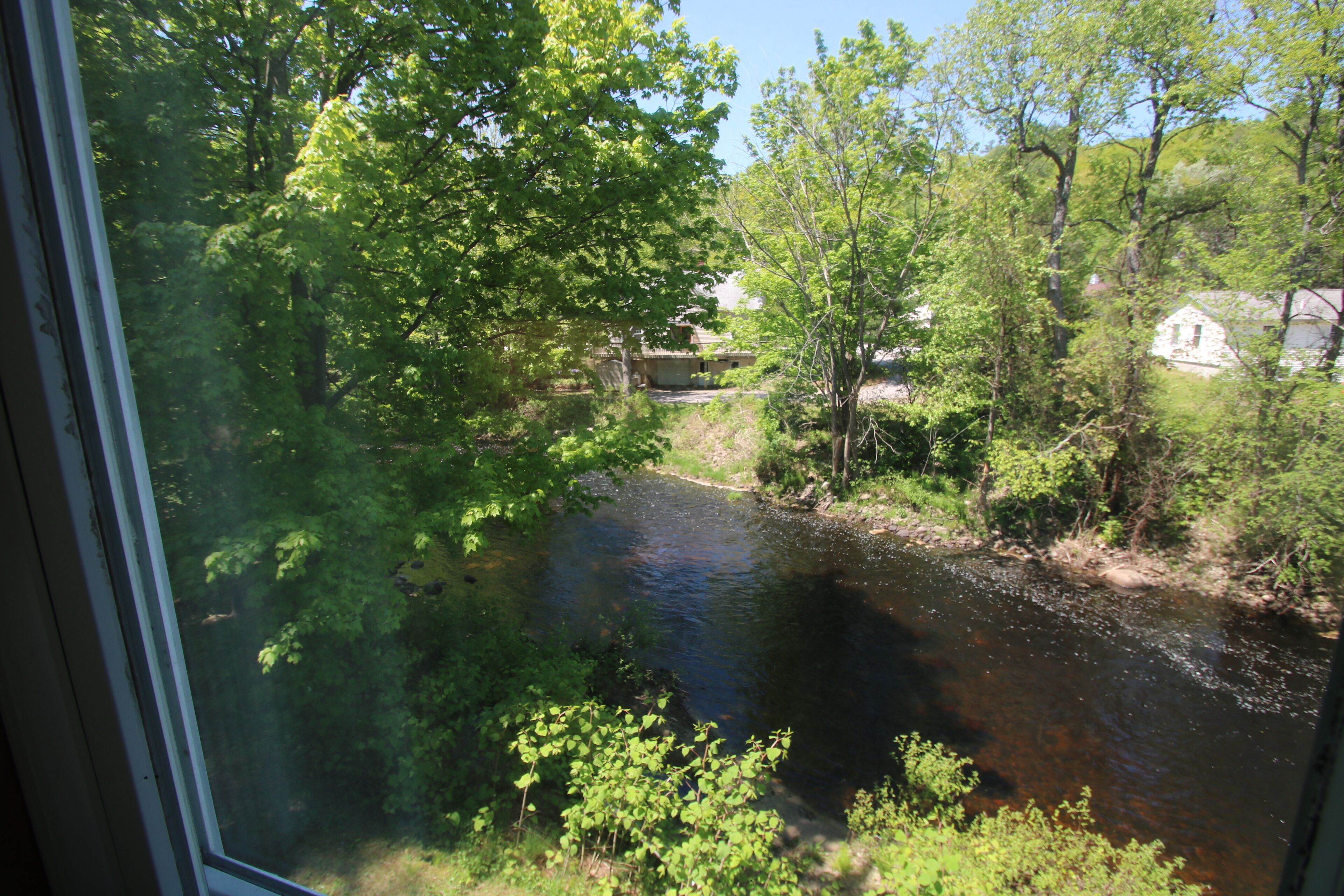 deluxe room, 1 king bed, river view | water view