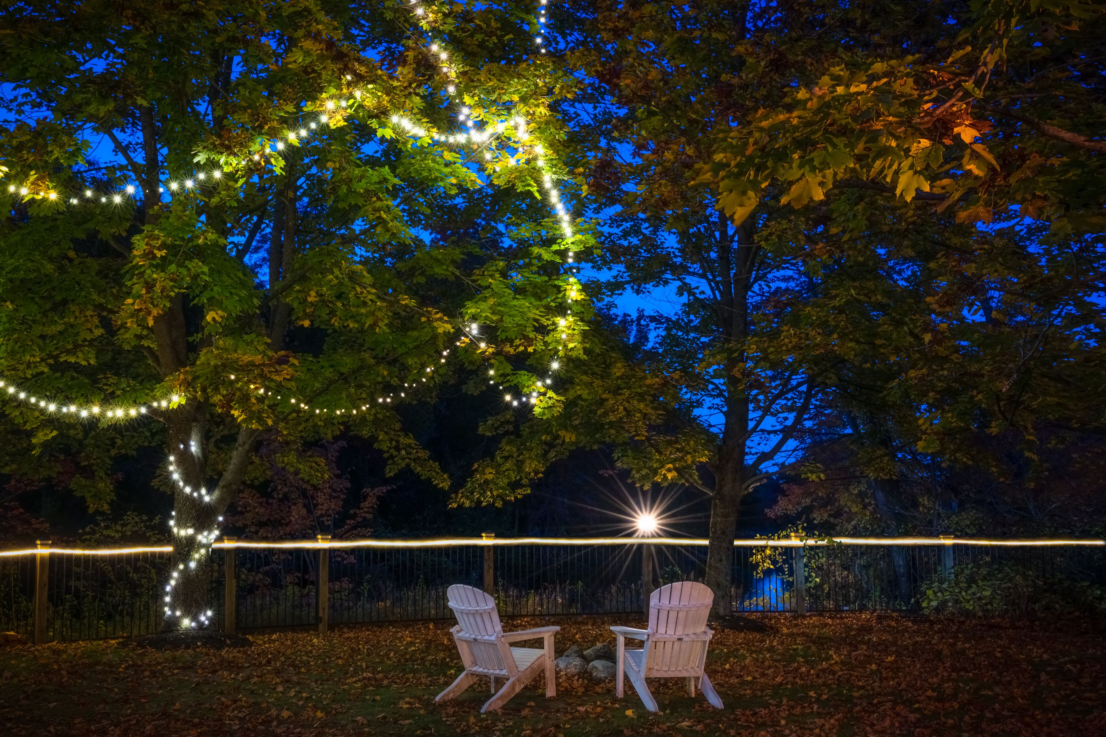 Deux fauteuils Adirondack placés sous un arbre, avec des guirlandes lumineuses disposées en forme de cœur.