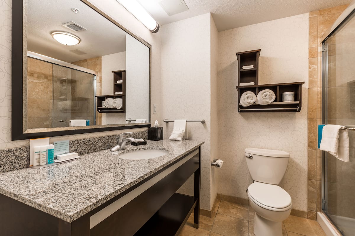 room, 1 king bed, non smoking | bathroom | hydromassage showerhead, free toiletries, hair dryer, towels