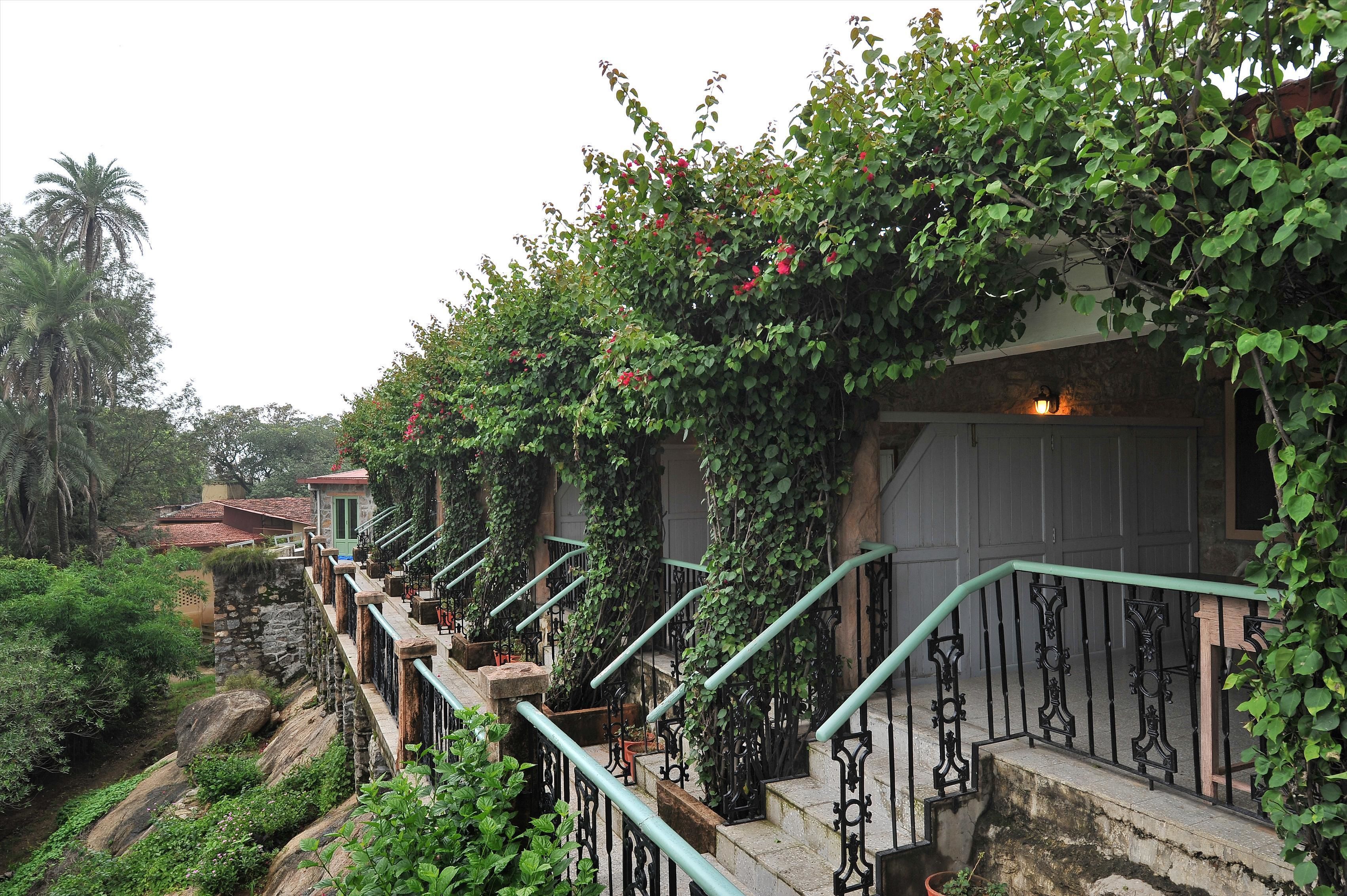 A staircase with a stone wall and metal railings, surrounded by lush greenery and a view of a river.