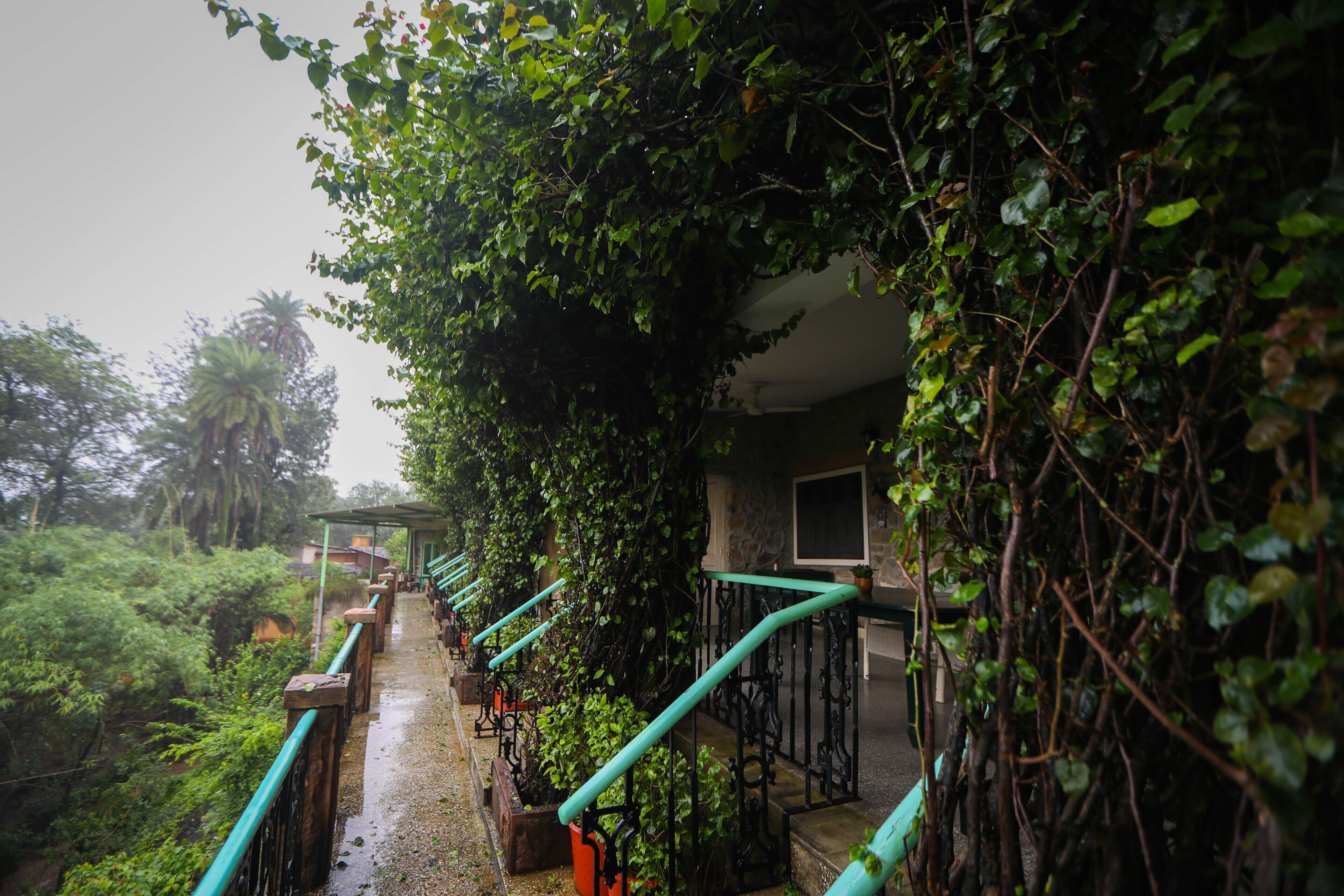 A staircase with a metal railing, surrounded by lush greenery and plants.