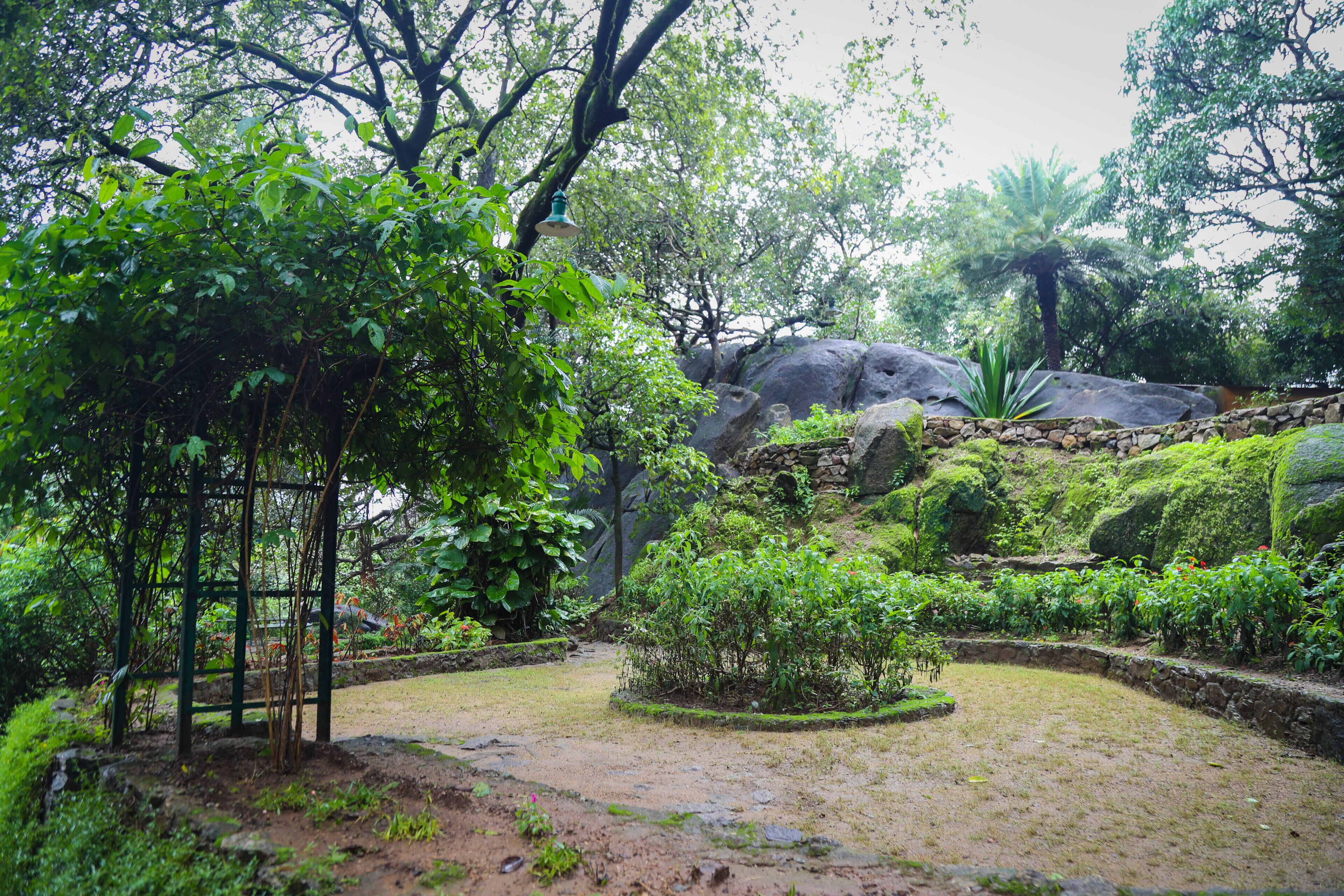 A garden with a stone pathway, a small pond, and a gazebo.