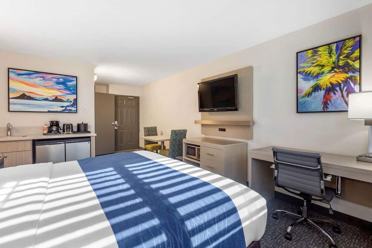 A hotel room with a bed, desk, chair, TV, and artwork on the walls.