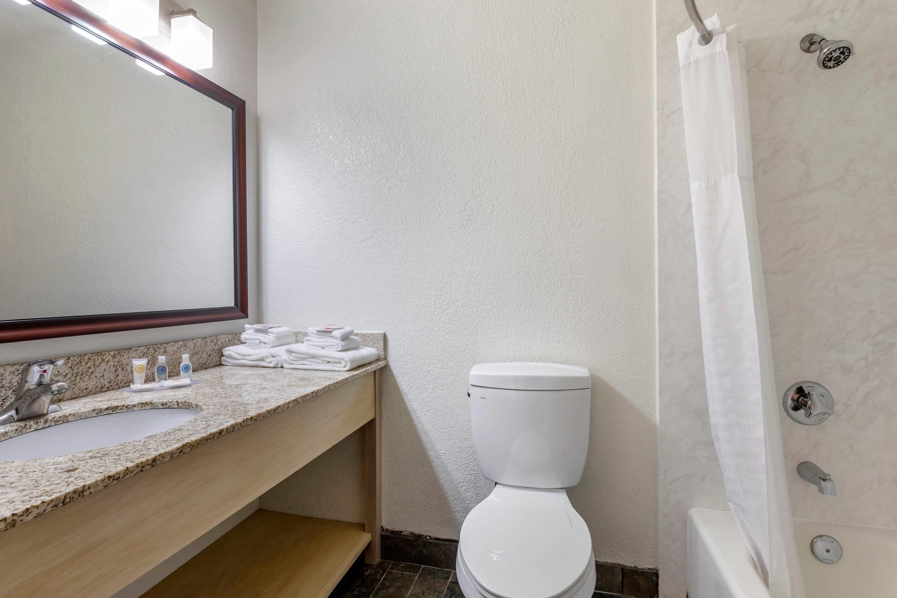 Ein Badezimmer mit Marmorwaschbecken, Toilette und Duschvorhang.